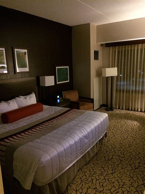 Indigo Sky Hotel Rooms: Pictures & Reviews.